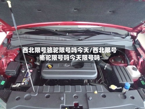 西北限号骆驼限号吗今天/西北限号骆驼限号吗今天限号吗-第2张图片