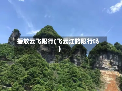 播放云飞限行(飞云江路限行吗)-第2张图片