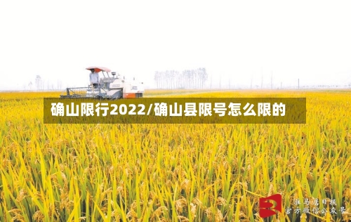 确山限行2022/确山县限号怎么限的-第3张图片