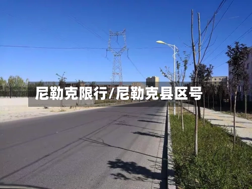 尼勒克限行/尼勒克县区号-第3张图片