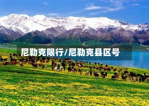 尼勒克限行/尼勒克县区号-第2张图片