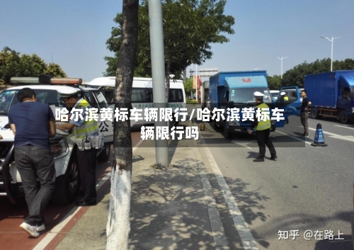 哈尔滨黄标车辆限行/哈尔滨黄标车辆限行吗