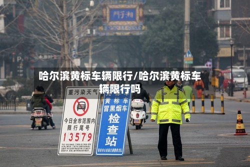 哈尔滨黄标车辆限行/哈尔滨黄标车辆限行吗-第3张图片