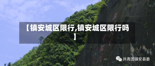 【镇安城区限行,镇安城区限行吗】-第2张图片
