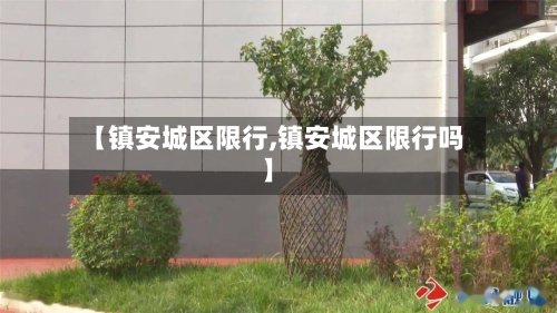【镇安城区限行,镇安城区限行吗】