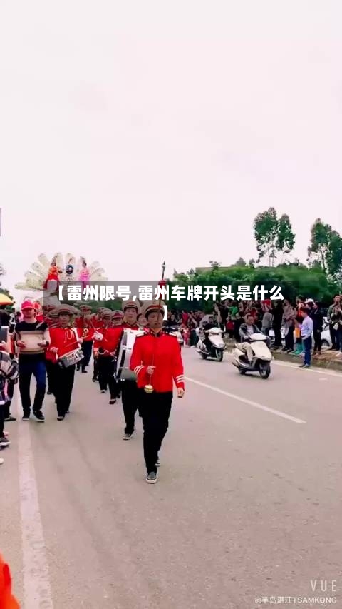 【雷州限号,雷州车牌开头是什么】-第2张图片