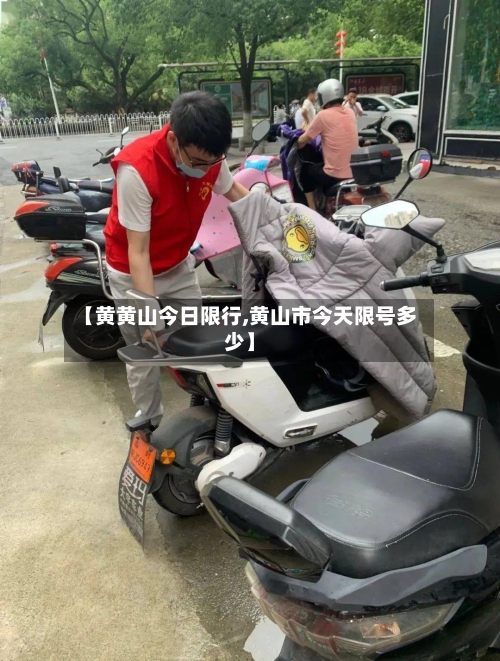 【黄黄山今日限行,黄山市今天限号多少】-第3张图片