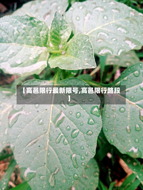 【高邑限行最新限号,高邑限行路段】-第2张图片