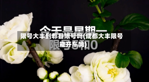 限号大丰到郫县限号吗(成都大丰限号能开车吗)-第3张图片