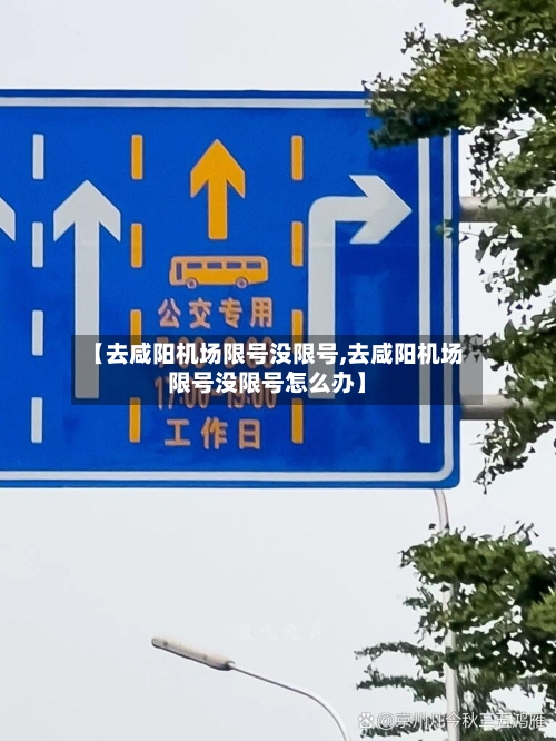 【去咸阳机场限号没限号,去咸阳机场限号没限号怎么办】-第2张图片
