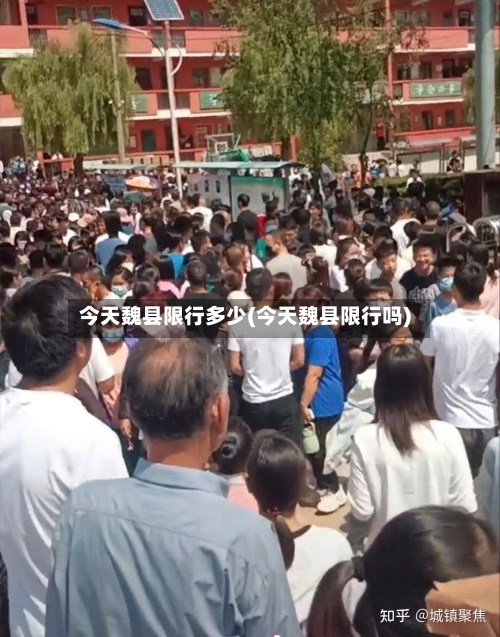 今天魏县限行多少(今天魏县限行吗)-第2张图片