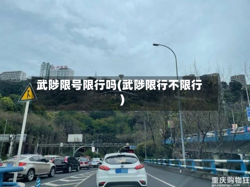 武陟限号限行吗(武陟限行不限行)-第2张图片