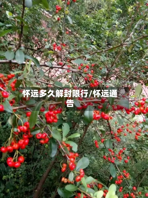 怀远多久解封限行/怀远通告