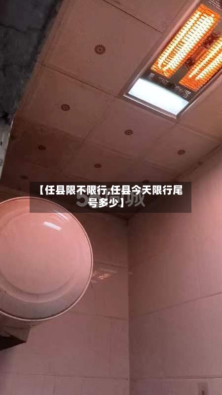 【任县限不限行,任县今天限行尾号多少】-第2张图片