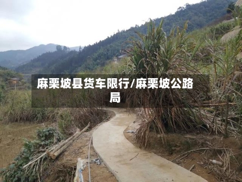 麻栗坡县货车限行/麻栗坡公路局-第2张图片