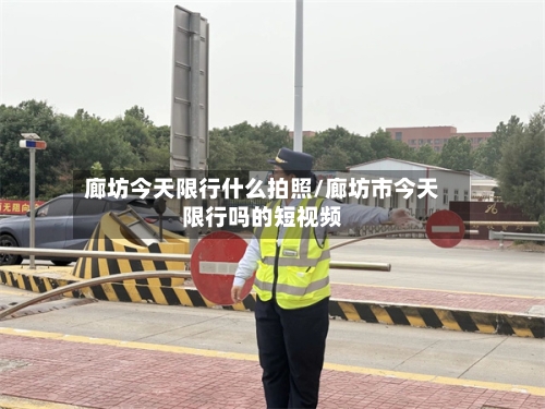 廊坊今天限行什么拍照/廊坊市今天限行吗的短视频-第2张图片