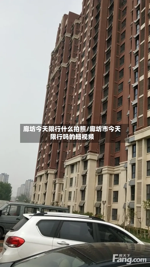 廊坊今天限行什么拍照/廊坊市今天限行吗的短视频-第3张图片