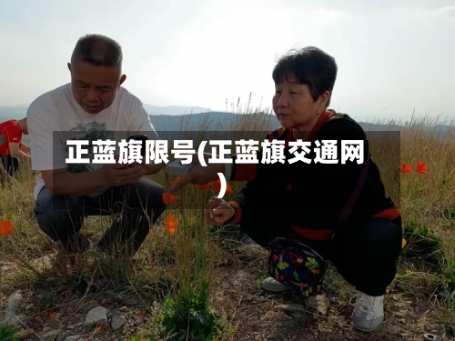 正蓝旗限号(正蓝旗交通网)