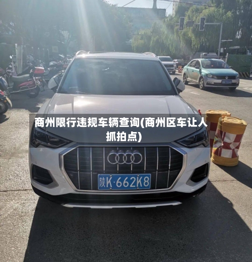 商州限行违规车辆查询(商州区车让人抓拍点)