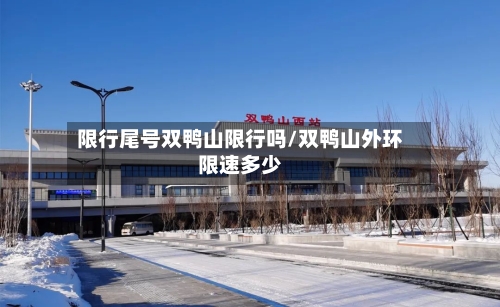 限行尾号双鸭山限行吗/双鸭山外环限速多少-第2张图片