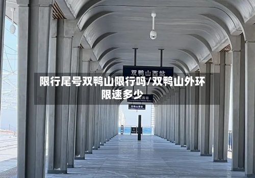 限行尾号双鸭山限行吗/双鸭山外环限速多少-第3张图片