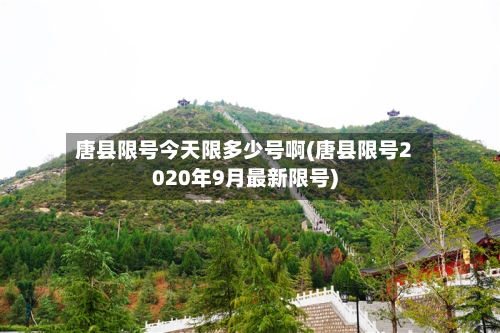 唐县限号今天限多少号啊(唐县限号2020年9月最新限号)