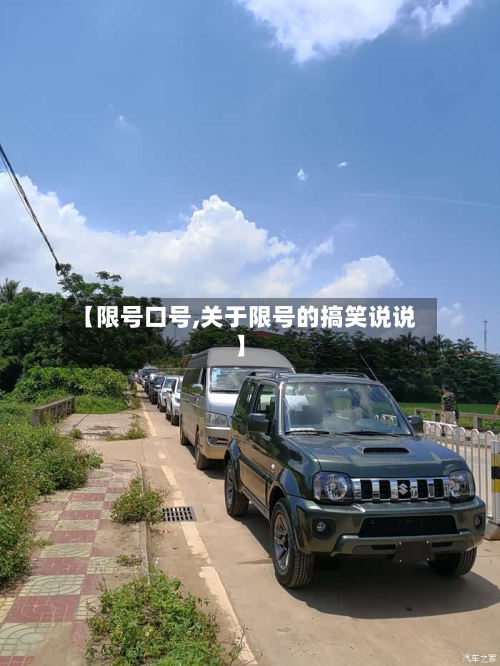 【限号口号,关于限号的搞笑说说】-第3张图片