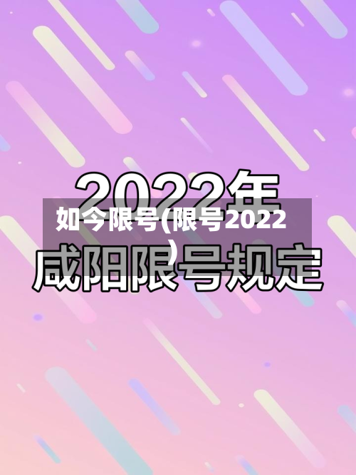 如今限号(限号2022)-第3张图片