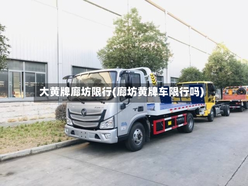 大黄牌廊坊限行(廊坊黄牌车限行吗)