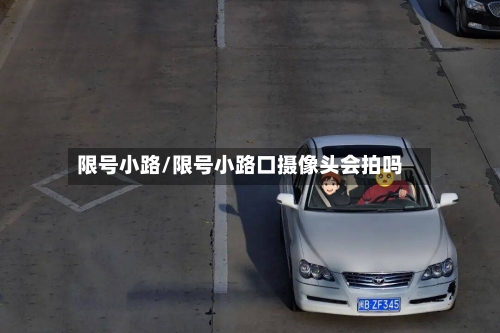 限号小路/限号小路口摄像头会拍吗