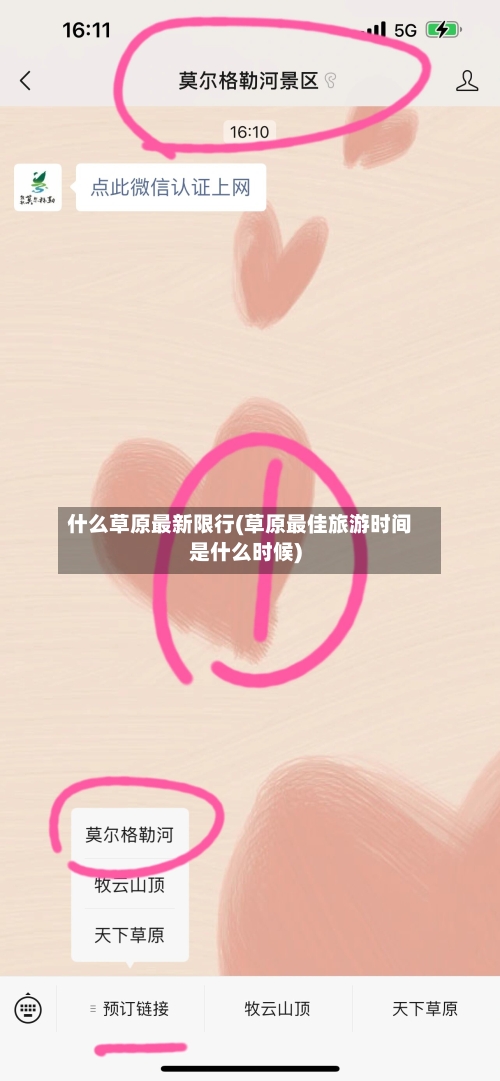 什么草原最新限行(草原最佳旅游时间是什么时候)