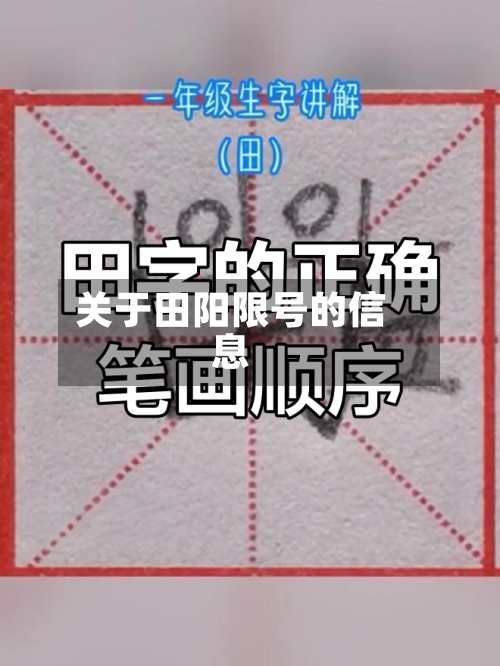 关于田阳限号的信息