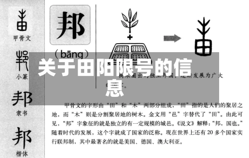 关于田阳限号的信息-第2张图片