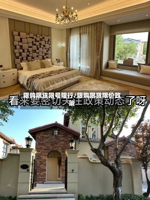限购限贷限号限行/限购限贷限价政策-第3张图片