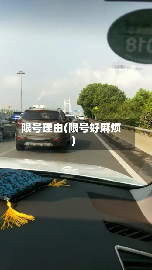 限号理由(限号好麻烦)-第2张图片