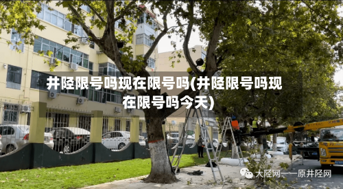井陉限号吗现在限号吗(井陉限号吗现在限号吗今天)-第2张图片