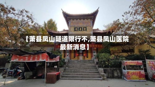 【萧县凤山隧道限行不,萧县凤山医院最新消息】