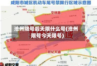 沧州限号后天限什么号(沧州限号今天限号)