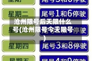 沧州限号后天限什么号(沧州限号今天限号)-第2张图片