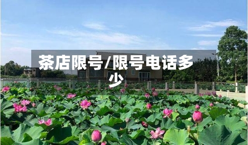 茶店限号/限号电话多少-第2张图片