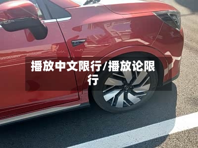 播放中文限行/播放论限行-第2张图片