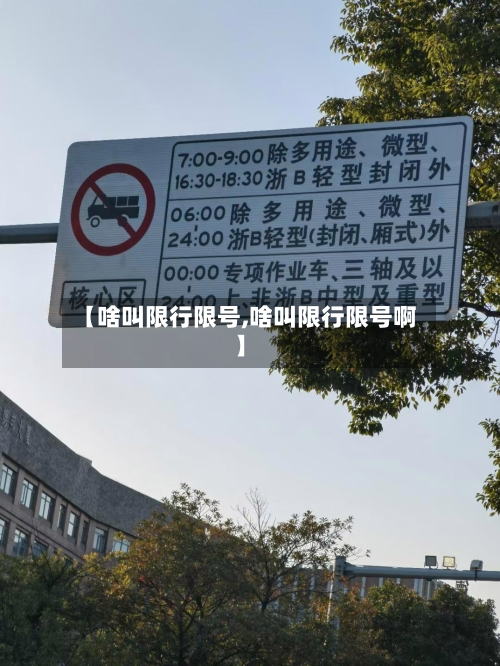 【啥叫限行限号,啥叫限行限号啊】-第3张图片