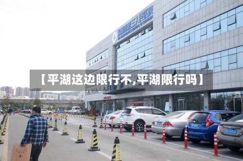 【平湖这边限行不,平湖限行吗】-第2张图片