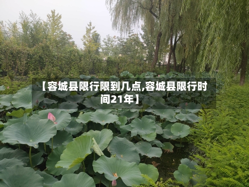 【容城县限行限到几点,容城县限行时间21年】-第3张图片