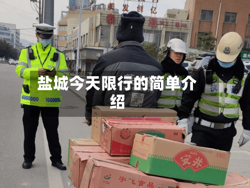 盐城今天限行的简单介绍
