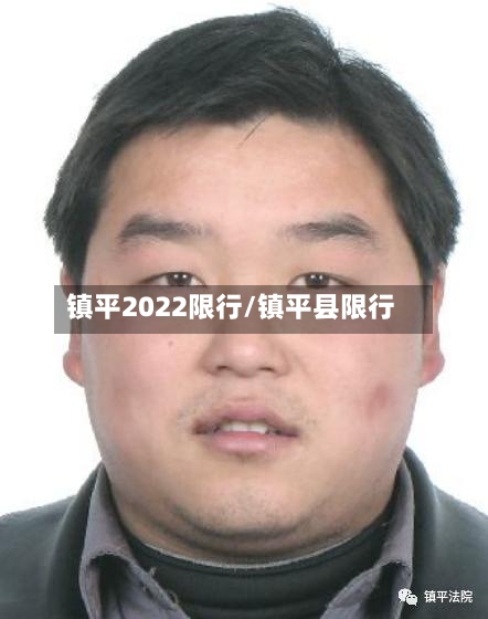 镇平2022限行/镇平县限行-第2张图片