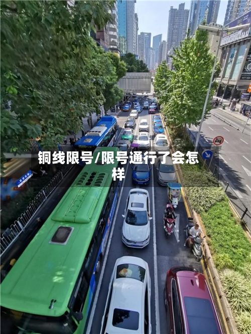 铜线限号/限号通行了会怎样