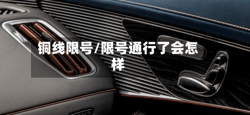 铜线限号/限号通行了会怎样-第3张图片
