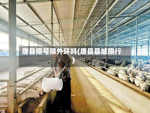 唐县限号限外环吗(唐县县城限行)-第2张图片