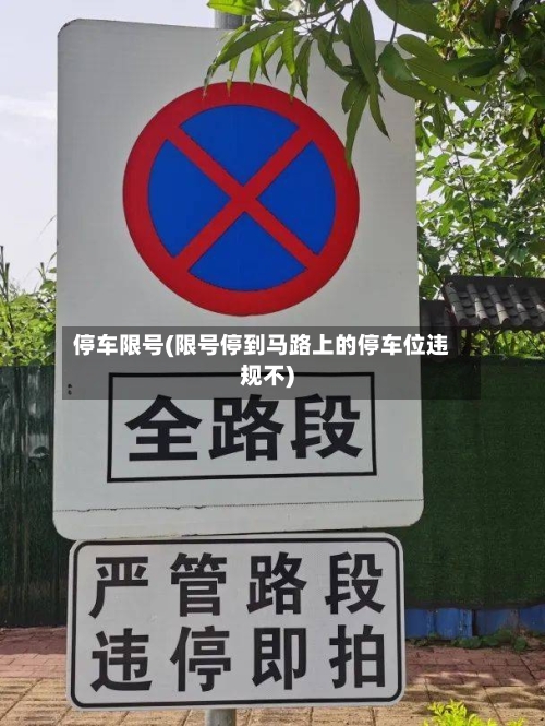 停车限号(限号停到马路上的停车位违规不)